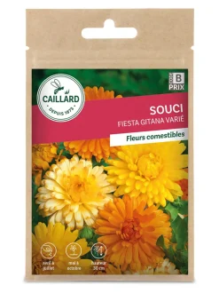 Souci Fiesta Gitana varié 3g CAILLARD