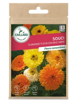 Souci à Grande Fleur Double Varié 3g CAILLARD
