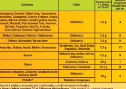 Soufre pulvérisation anti-oïdium/tavelure 400g SOLABIOL