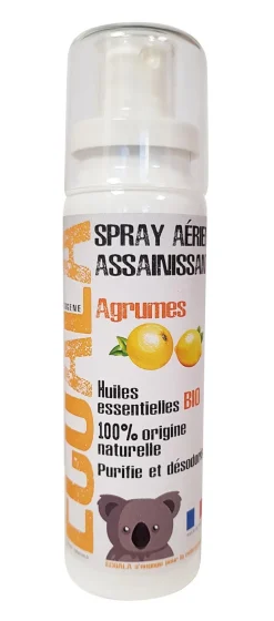 Spray assainissant bio agrumes 100ml ECOGENE
