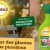 Spray contre les pucerons PAE 750 ml SOLABIOL