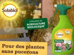 Spray contre les pucerons PAE 750 ml SOLABIOL