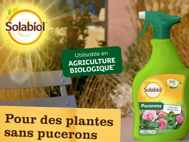 Spray contre les pucerons PAE 750 ml SOLABIOL