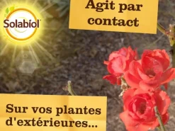 Spray contre les pucerons PAE 750 ml SOLABIOL
