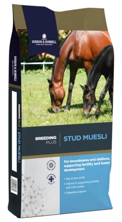 Stud Muesli 20 kg DODSON & HORRELL