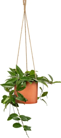 Suspension 429/Ø14 cm Papaya DEROMA