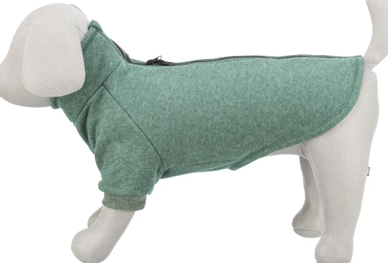 Sweat-shirt citystyle Amsterdam vert foncé