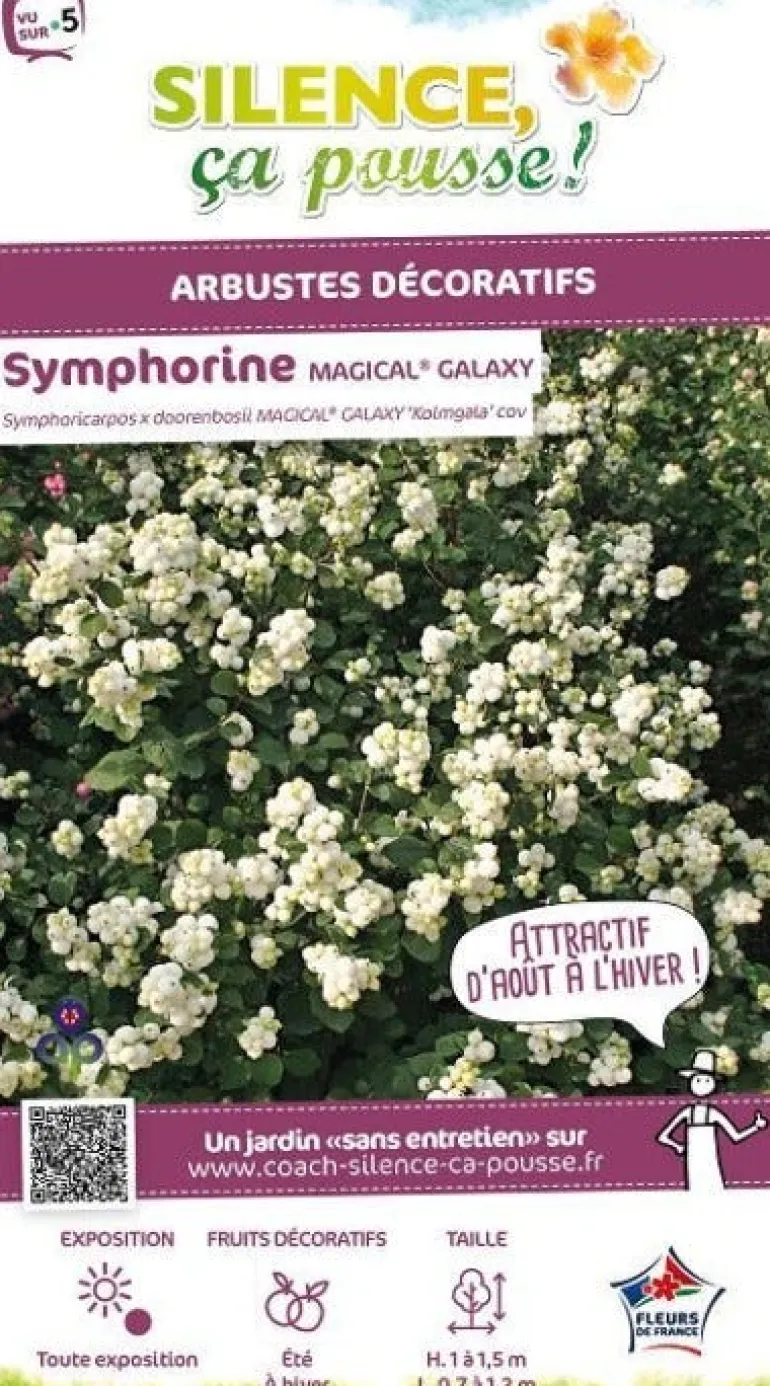 Symphorine "Magical Galaxy" Pot 4L SILENCE ÇA POUSSE