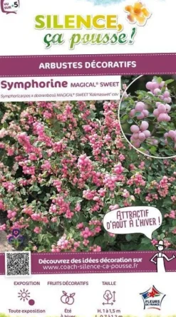 Symphorine "Magical Sweet" Pot 4L SILENCE ÇA POUSSE