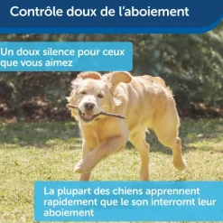 Système antiaboiement à ultrasons pour l'extérieur PETSAFE