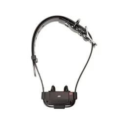 Système antifigue Canifugue 1034 - Borne sans fil + collier