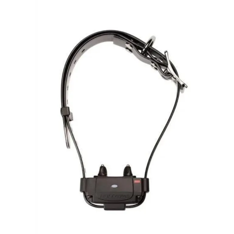 Système antifigue Canifugue 1034 - Borne sans fil + collier