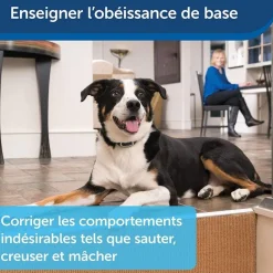 Système d'aide à l'éducation 2 chiens 900m PETSAFE