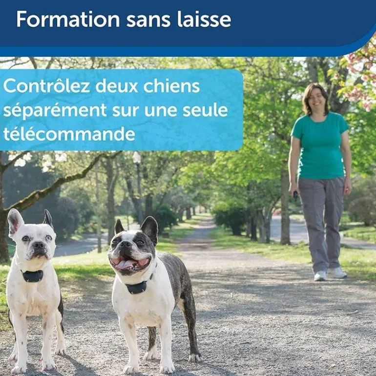 Système d'aide à l'éducation 2 chiens 900m PETSAFE