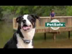 Système d'aide à l'éducation Lite 1 chien 100m PETSAFE