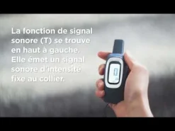 Système d'aide à l'éducation à spray jusqu'à 2 chiens