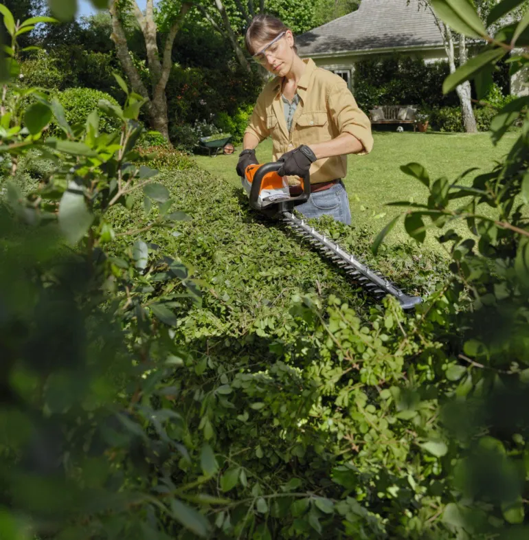 Taille-haie à batterie HSA 60 + pack batterie AK 10 STIHL