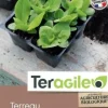 Terreau semis et bouturage UAB Teragile 40L