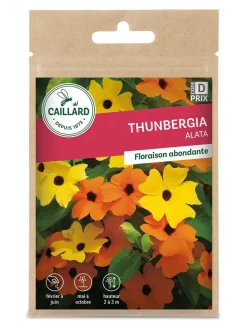 Thunbergia Alata 1,50g CAILLARD