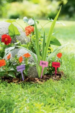 Étiquettes LABEL 4 couleurs 15 cm (x10)