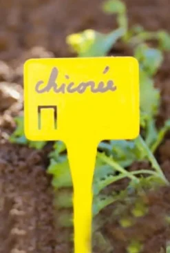 Étiquettes LABEL jaunes 30 cm (x30)