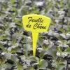 Étiquettes à planter 15 cm (x10)