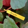 Étiquettes TREE LABEL jaunes (x40)