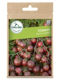 Tomate Black Cherry 1g CAILLARD