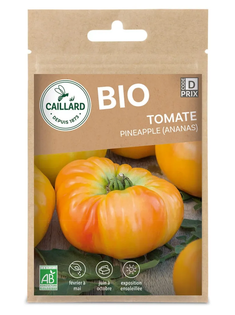 Tomate Pineapple (Ananas) Bio 0,25g CAILLARD