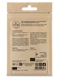 Tomate Pineapple (Ananas) Bio 0,25g CAILLARD