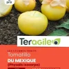 Tomatillo du Mexique (Physalis ixocarpa) 1g TERAGILE