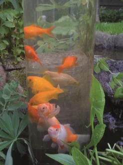 Tour à poisson 50 cm