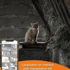 Traceur GPS pour chat Weenect XS (White Edition 2023)