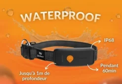 Traceur GPS pour chien Weenect XT + collier Julius-K9 noir