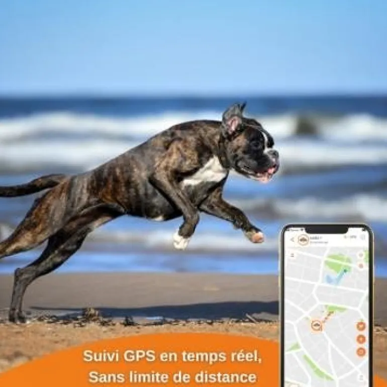 Traceur GPS pour Chien - Weenect XS (Black Edition 2023)