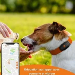 Traceur GPS pour Chien - Weenect XS (Black Edition 2023)