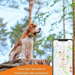 Traceur GPS pour Chien - Weenect XS (Black Edition 2023)