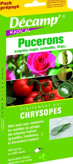 Traitement par chrysopes contre les pucerons 50m²