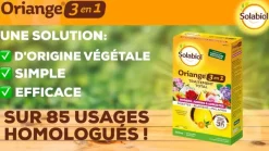Traitement Total Oriange 3 en 1 ornemental 200ml SOLABIOL