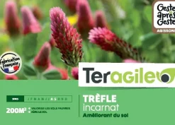 Trèfle incarnat 500g