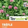 Trèfle violet 1kg