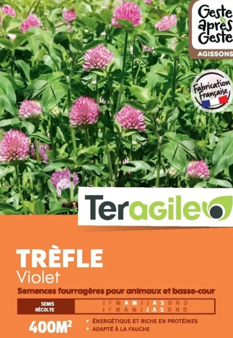 Trèfle violet 1kg