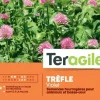 Trèfle violet 500g