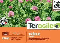 Trèfle violet 500g