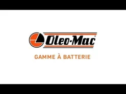 Tronçonneuse à batterie GSI 30 + batterie 5Ah + chargeur