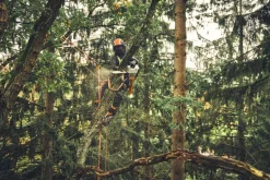 Tronçonneuse à batterie MSA220 T 30cm (produit seul) STIHL