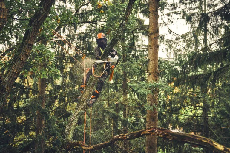 Tronçonneuse à batterie MSA220 T 35cm (produit seul) STIHL