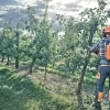 Tronçonneuse à batterie pro 535i XP (produit seul) HUSQVARNA