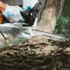 Tronçonneuse thermique MS194 T 35cm 32cm3 STIHL