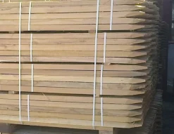 Tuteur acacia 25x25 mm 1,5m